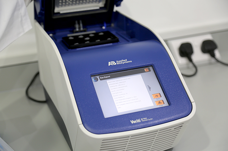 Real-time PCR